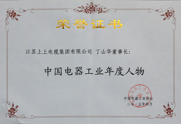 丁山華榮獲“中國電器工業年度人物”稱號