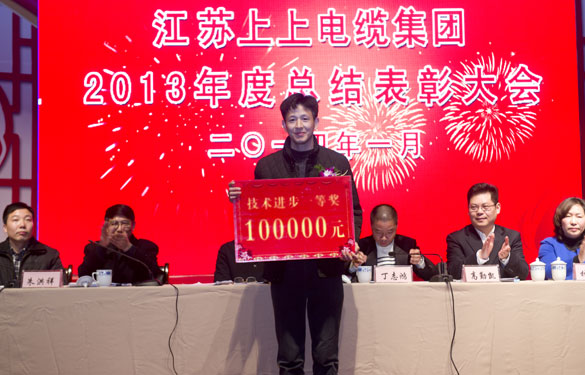 2013年度技術(shù)進步獎